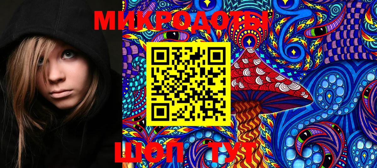 Псилоцибиновые грибы MAGIC MUSHROOMS Алексеевка
