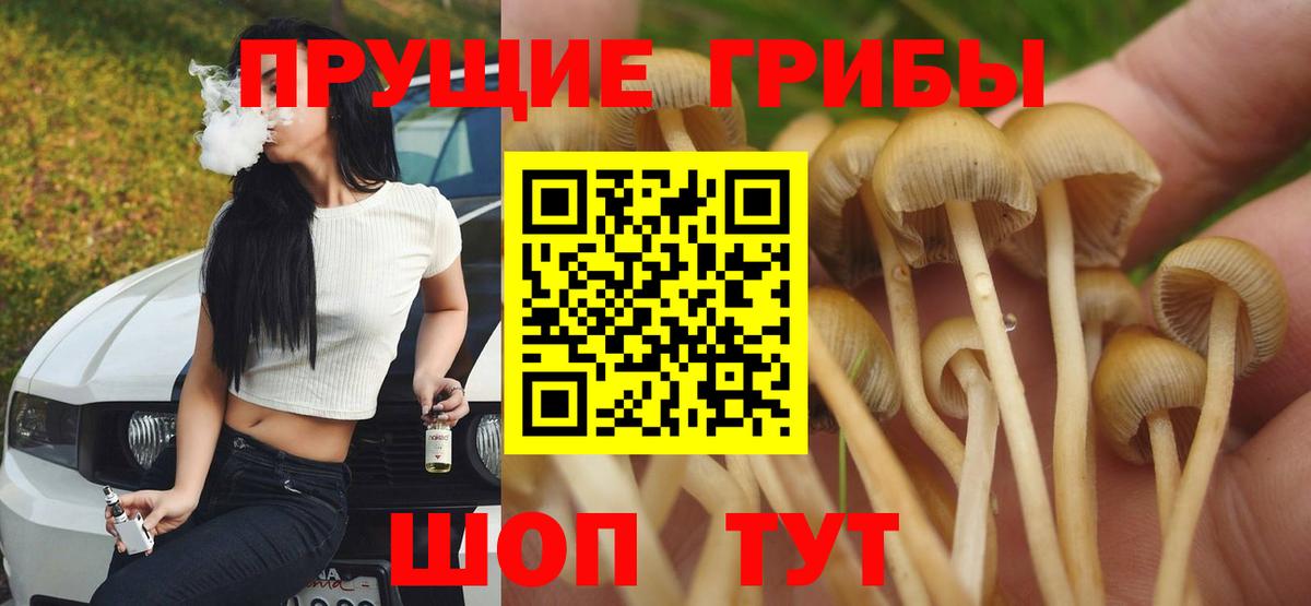 Галлюциногенные грибы прущие грибы  Галлюциногенные грибы Psilocybe  Вход с VPN  наркота  Алексеевка 